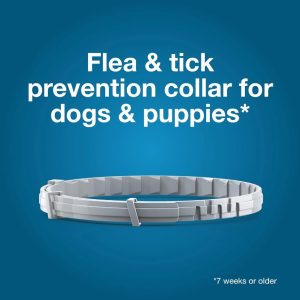 Natural & Safe Flea and Tick Collar for Large Dogs, 2 * 8 Months Protection, Waterproof, 27.5 inch, One Size Fits All, Free Comb and Tick Removal Tool